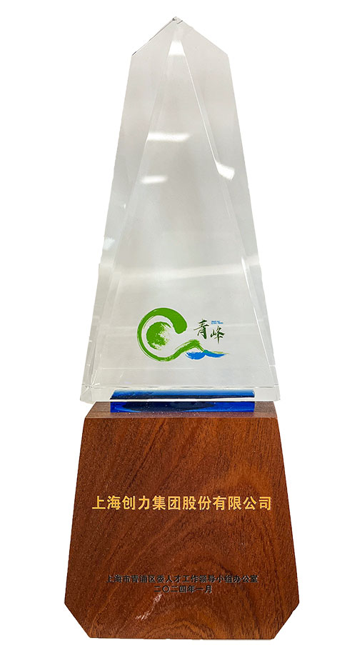 喜報！上海創力集團榮獲2023年度青浦區百強優秀企業等三項大獎(圖3)